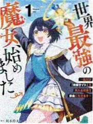 综艺类内容播放界面示意